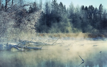 BestHDWallpapers_006884